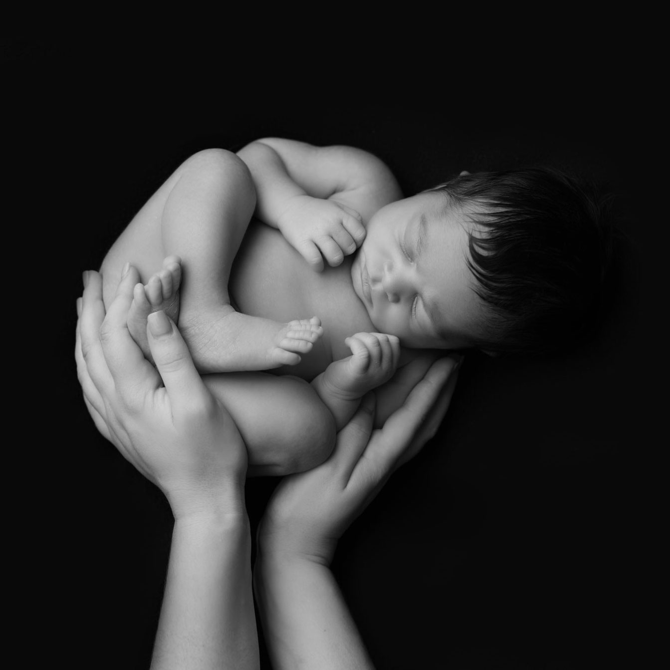 amazing studio nouveaux nes